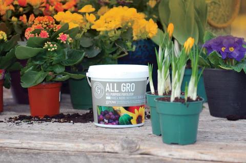 GARDEN GALLERY ALL GRO