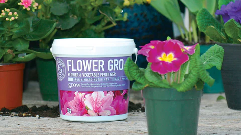 GARDEN GALLERY FLOWER GRO